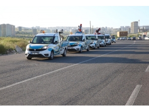 Haliliye’de Haşerelerle Mücadele Çalışmaları Sürüyor