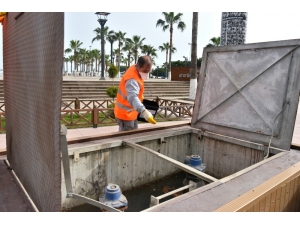 Büyükşehir, Mersin’de İlk Kez Görülen Sinek Türüne Karşı Etkin Mücadele Başlattı