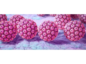 Hpv Virüsüne Dikkat