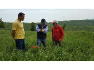 Kocaeli’de Çiftçilere Eğitim Desteği