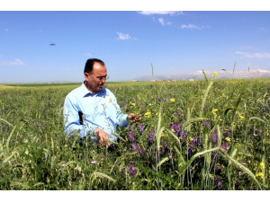 Canlılarının Hayatını Kurtaracak Proje Tuttu