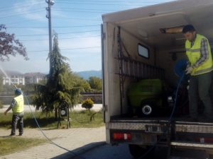 Amerikan Kelebeğine Mücadele Bu Yıl Erken Başladı