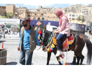 Mardin’de Atlı Turizm