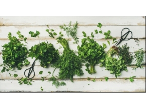 Ağız Kokusuna Karşı Maydanoz Ve Nane Yiyin