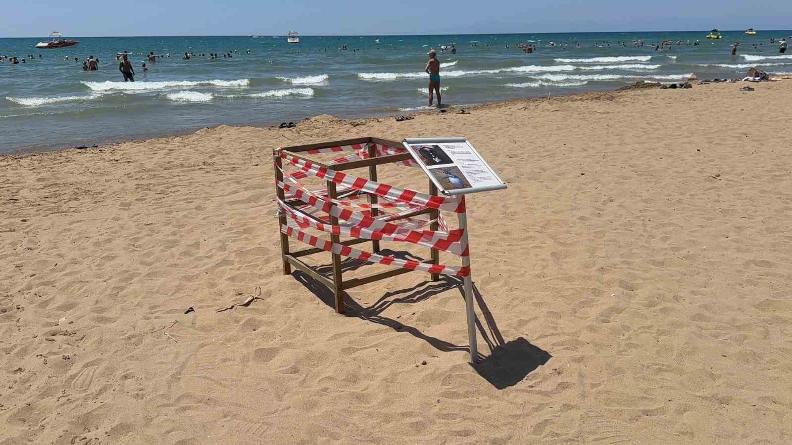 antalya-da-caretta-caretta-yuvasi-bilmecesi