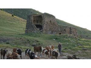 Gercüş’te Asırlık Kasr İlgisizlikten Dökülüyor