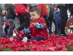 Gençlerbirliği Kupasını Aldı