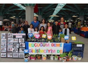 Genç Girişimciler Pazarda