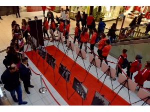 Fotoğraflar İle Mustafa Kemal Atatürk Sergisi