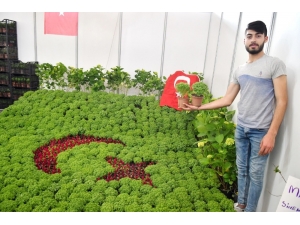 Manisalılar Çiçek Festivaline Büyük İlgi Gösterdi