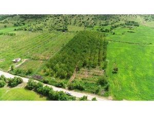 Dolu Ve Sağanak Meyve Bahçelerini Vurdu, Verim Yüzde 90 Oranında Düştü