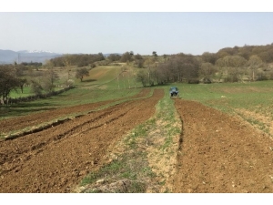Bolu’da, ‘Tıbbi Aromatik Bitki Bahçesi’ Oluşturuldu