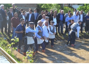 Çizmeleri Giyen Protokol Çeltik Ekti