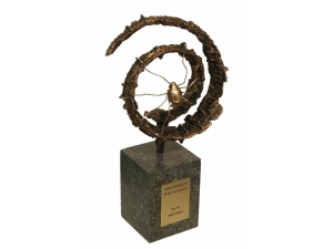 Altın Örümcek Ödülleri’nde Son Başvuru Süresi 21 Haziran