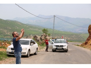 Dağ Keçileri Yola İndi, Onları Görenler Cep Telefonuna Sarıldı