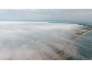 Sinop’ta Yoğun Sis