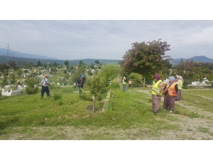 Tosya’da Bayram Öncesi Mezar Temizliği Başladı