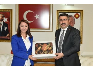 Başkan Tekin’den Yıldırım Belediyesi’ne Ziyaret