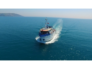 Karadeniz’deki Yunus Popülasyonu Araştırılıyor