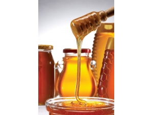 Zeytinyağı Teşvik Sistemi Çam Balı İçin Model Alınabilir