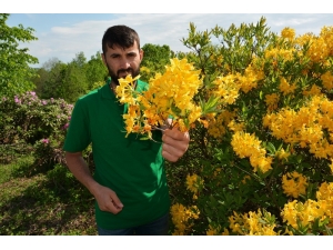 Karadeniz Yaylarında Güller Açtı