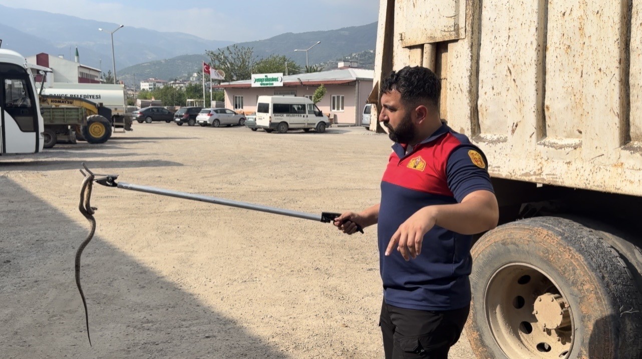 osmaniye-de-kacak-yolcu-yilan-ucuncu-aracta-yakalandi