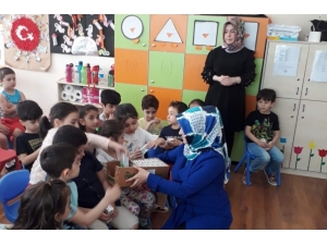 Siirt’te Dünya Süt Günü Etkinliği