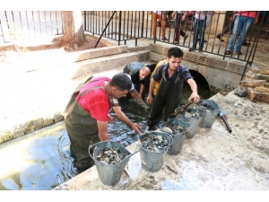 Şuski’nin Tarihi Alanlardaki Bakım Ve Onarım Çalışmaları