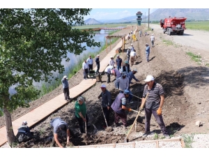 Kaz Gölüne 3 Bin Adet Lavanta Dikildi