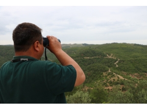 Manisa’nın Akciğerleri Onlara Emanet