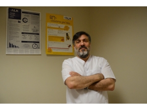 Arı Ve Kene Sokması Kırmızı Et Alerjisine Yol Açabilir