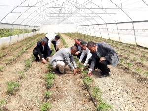 Başkan Tanış: “Sebze Ve Meyve Fiyatları, Yerli Üretimle Düşecek”