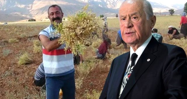 Bahçeli'den, Komünist Başkan'ın 'dersim' Hamlesine Sert Çıkış: Yok Hükmündedir