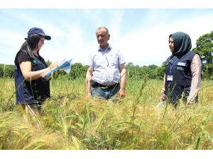 Tohum Desteği, Çiftçilerin Yüzünü Güldürüyor