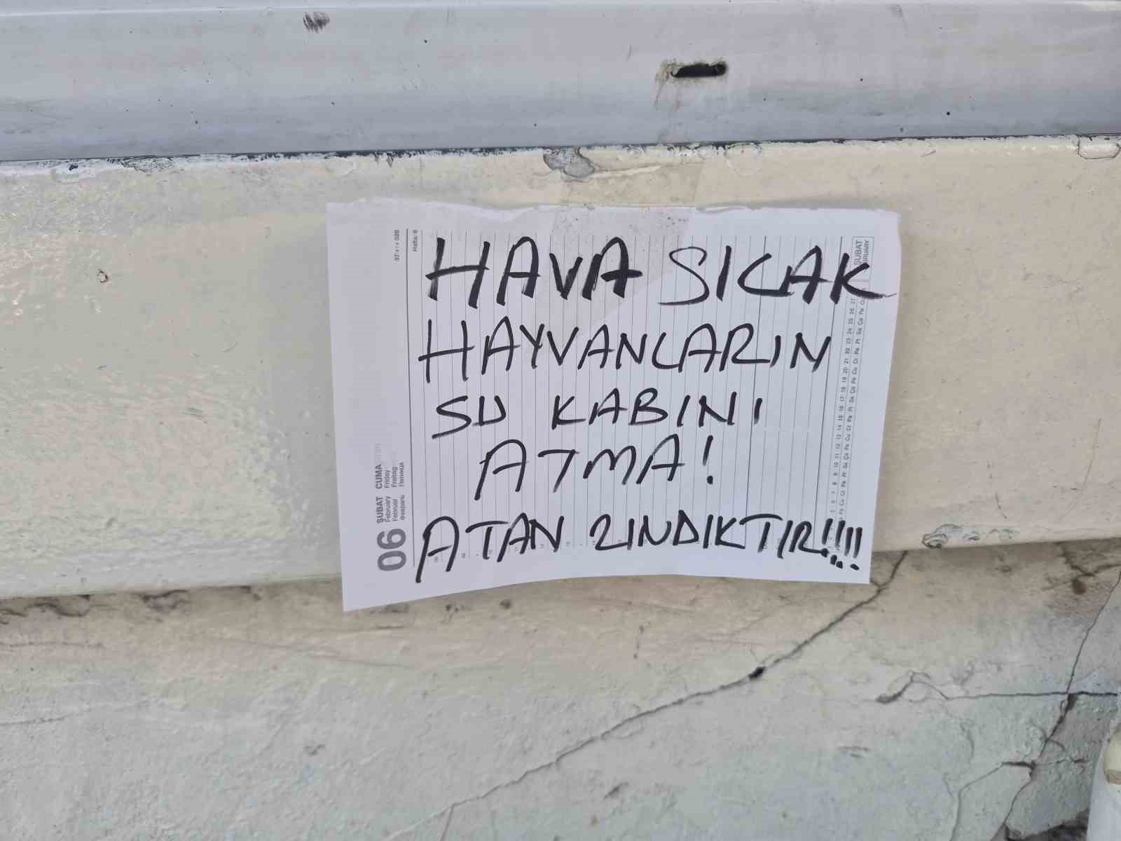 sokak-hayvanlarinin-su-kabini-atanlara-ilginc-tepki-atan-zindiktir
