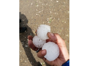 Ceviz Büyüklüğündeki Dolu Tarlalara Zarar Verdi