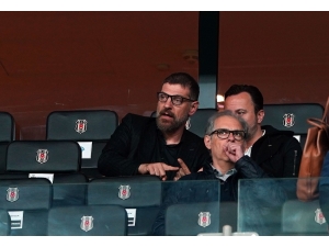 Slaven Bilic Tribünde!