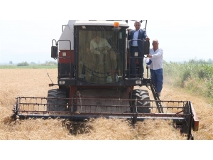 Sağlam “Stratejik Ürün, Buğdaydan Vazgeçilmemeli”