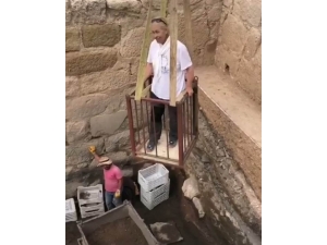 Prof. Dr. Havva İşkan Işık’ın Vinçli Bilim Aşkı