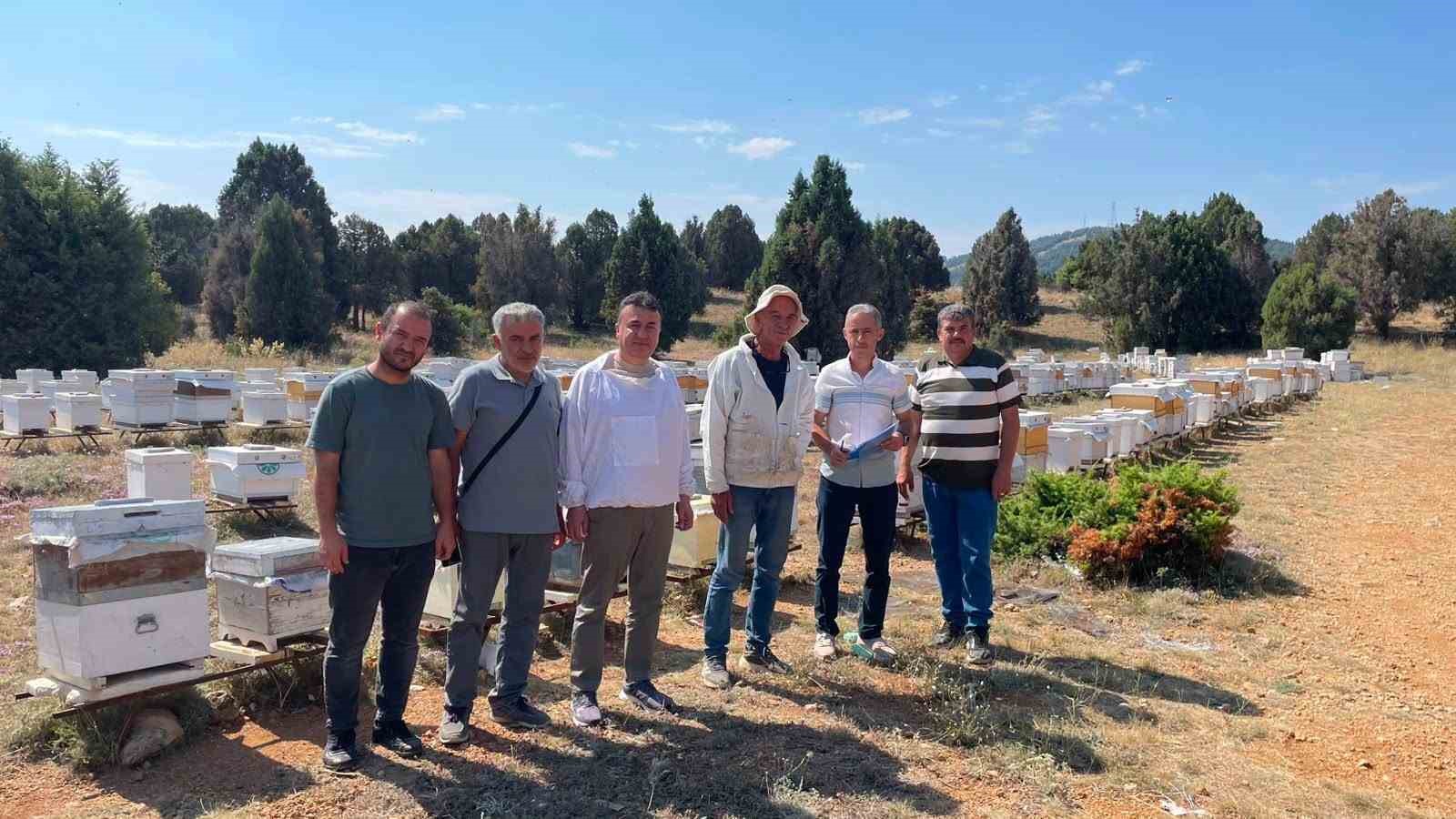 beysehir-de-arili-kovanlar-tek-tek-sayiliyor