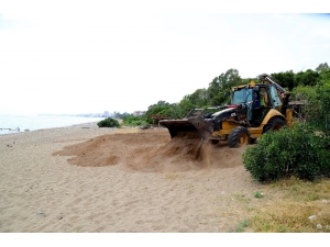 Tarhan: “100. Yıl Plajında Doğa Cinayeti İşleniyor”