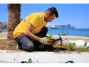 Aydın Büyükşehir Belediyesi Bayram Tatiline Hazırlanıyor