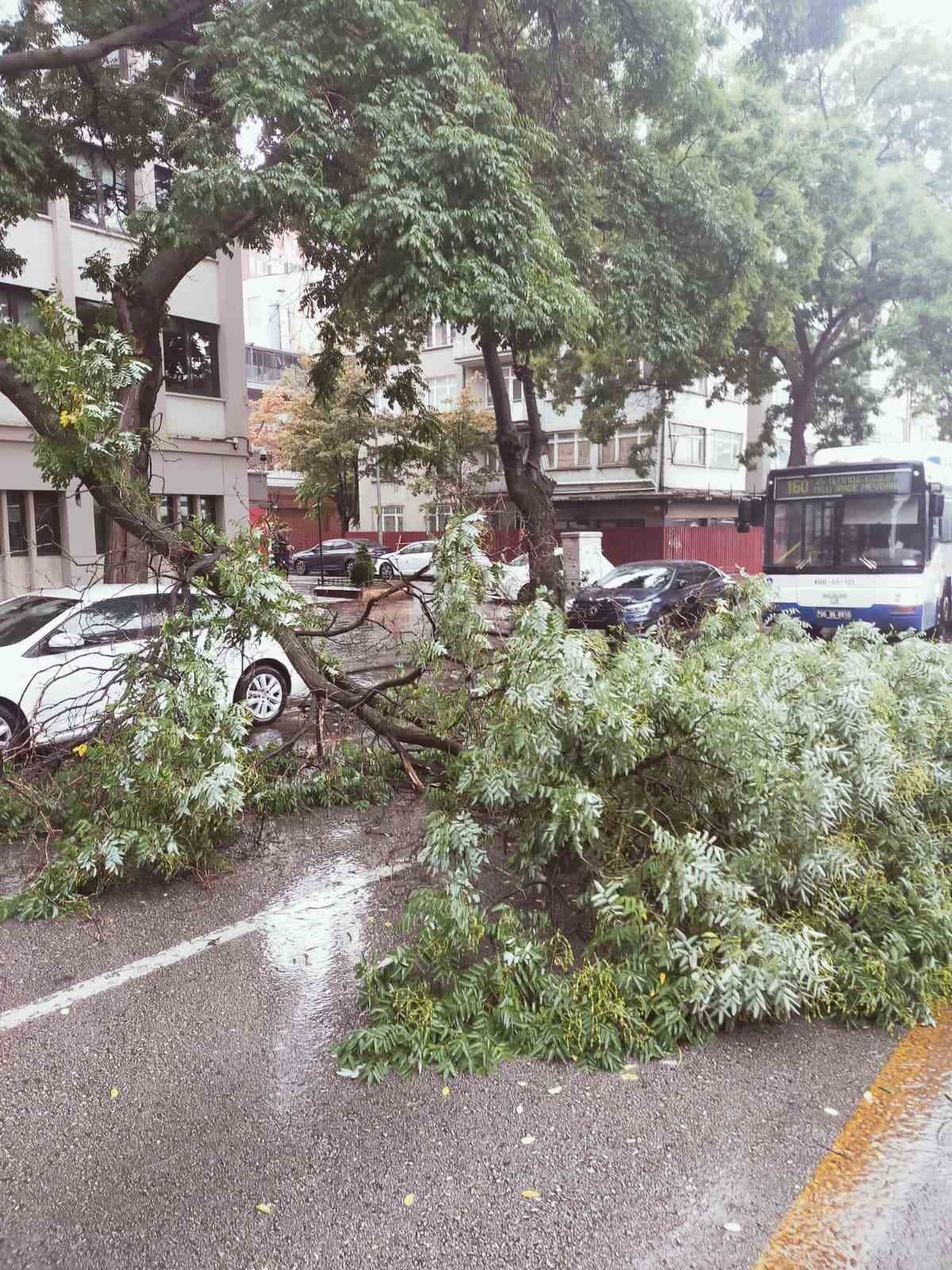 baskentte-yagistan-devrilen-agac-trafigi-aksatti