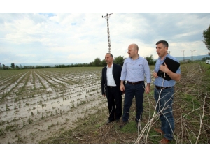 Amasya’yı Dolu Vurdu