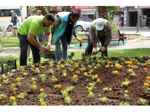 Haliliye’de Peyzaj Çalışmaları