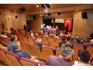 Validen Arsa Tepkisi