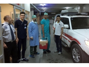 Organları 5 Hastaya Umut Oldu
