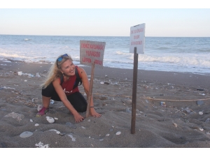 Carettaların Ender Yuvalama Alanında Festival Tepki Çekti