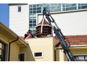 Güvercinlere Saray Gibi Yuva