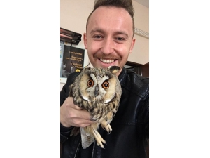 Nesli Tükenmekte Olan Boynuzlu Baykuşu Yakalayıp Selfie Çektikten Sonra Doğaya Bıraktılar